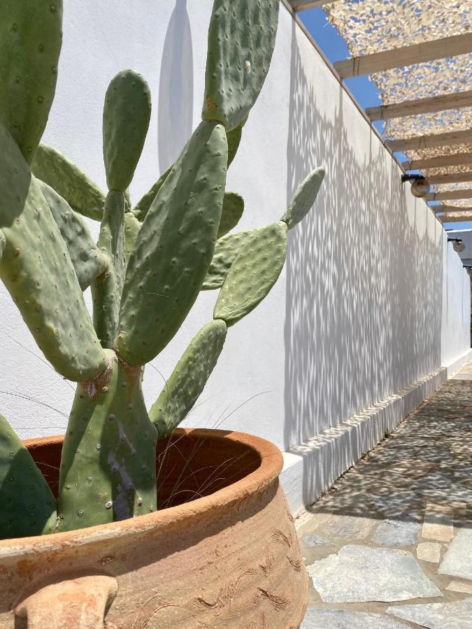 Fikas Hotel Naxos City Exteriör bild